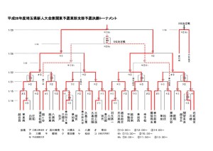 thumbnail of e_shinjin_2016