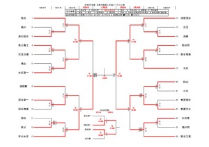 thumbnail of H29新人トーナメント 途中結果