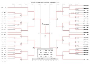 平成30年度 第97回 全国高校サッカー選手権大会埼玉県大会 決勝トーナメント 決勝 試合結果 埼玉県高等学校体育連盟サッカー専門部