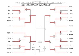 H30新人トーナメント0127のサムネイル