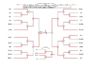 H30新人トーナメント0202のサムネイル
