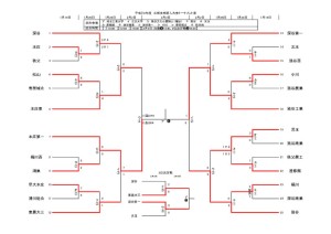 H30新人トーナメント0202のサムネイル