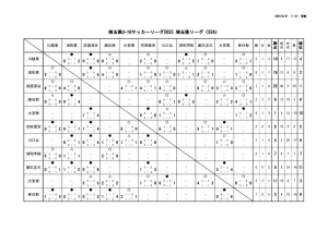 YL_U-16_S2Aのサムネイル