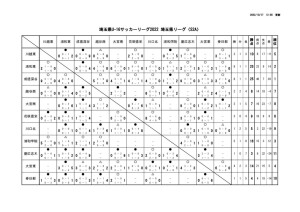 YL_U-16_S2Aのサムネイル