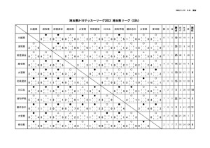 YL_U-16_S2Aのサムネイル