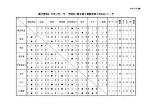 最終結果のサムネイル