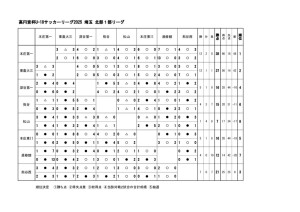 u18_2025_SN1.xlsx – 星取表 (1)のサムネイル