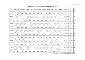 2025_U-18SS3B(星取表2025_1104)のサムネイル